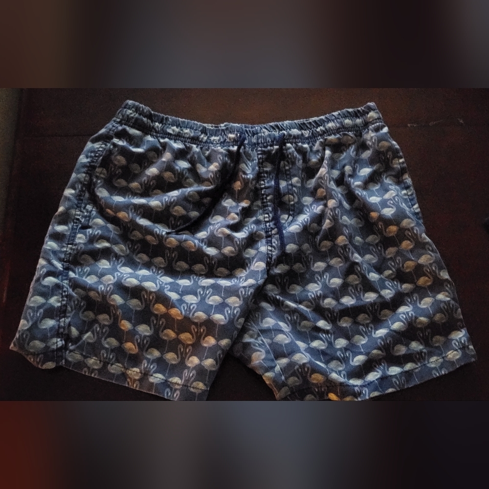 Men's swim trunks L